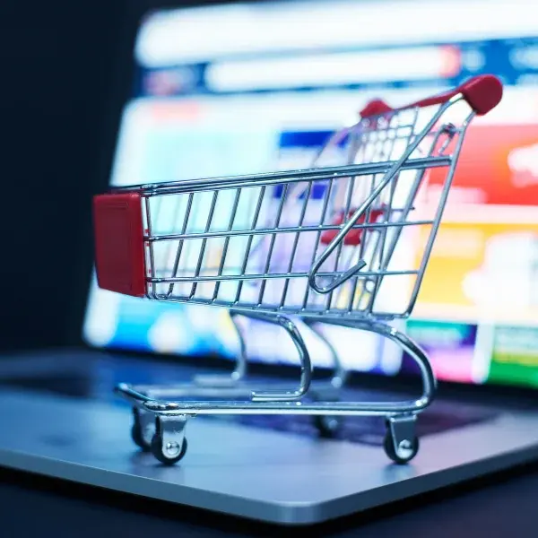 Aviox E-Commerce – Empowering Online Business Growth