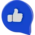 Icon primary